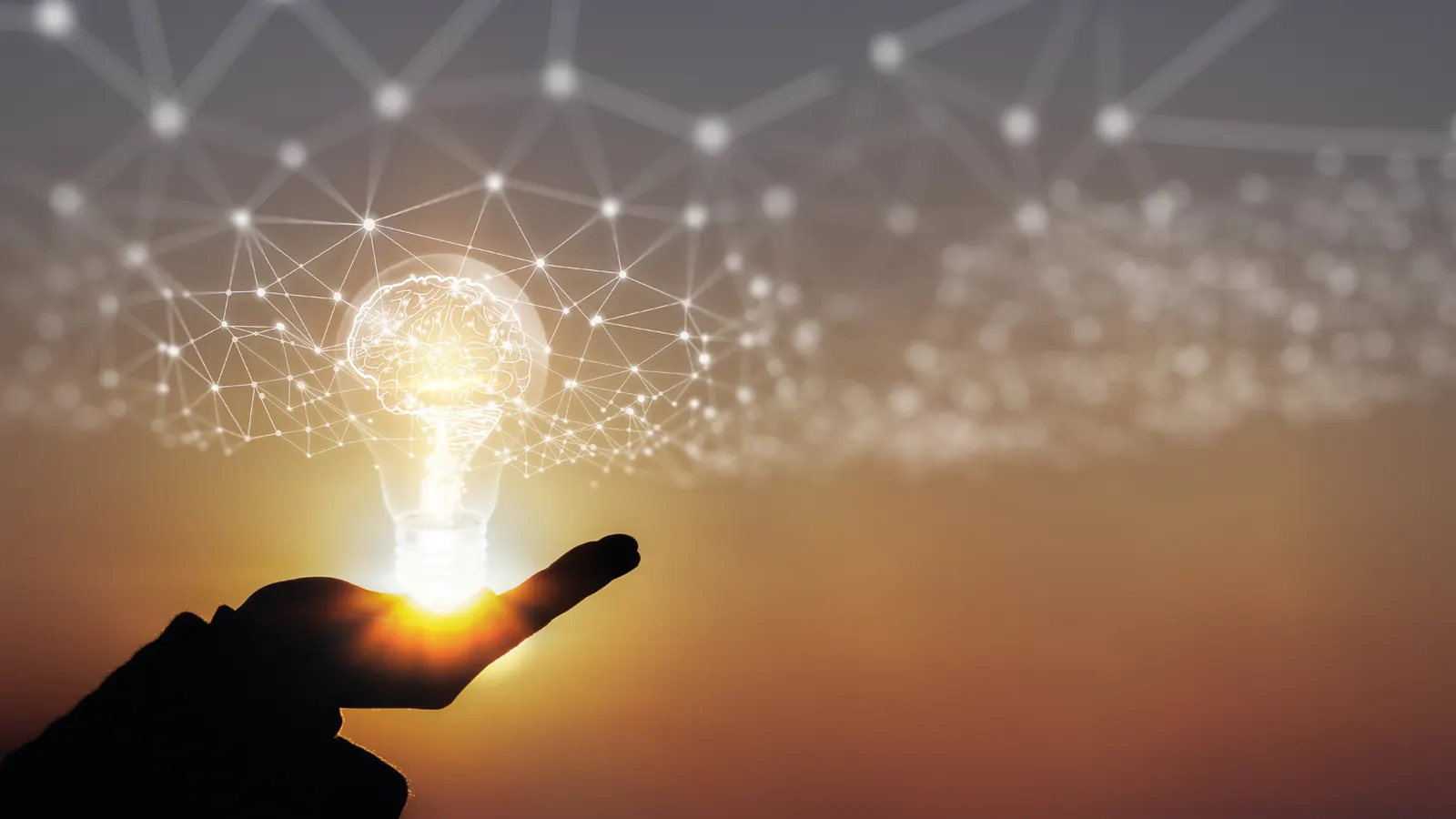 Digital strategy: media planning tied to contribution margin, MER, payback, and retention