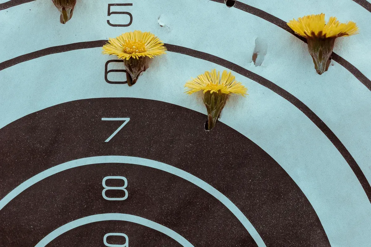 Flowers in the bullseye of a target: precision paid social, paid search, programmatic, and Connected TV advertising